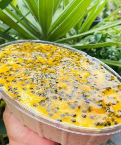 mousse de maracujá na travessa  1,5kl